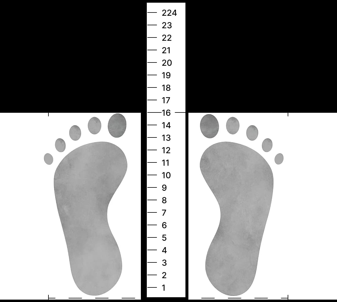 Foot sizes